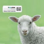 Livestock Monitoring Collar