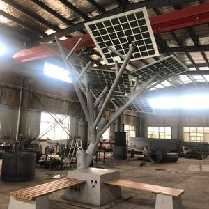 Polycrystalline PV Module