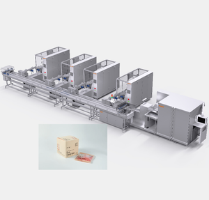 Paper Carton