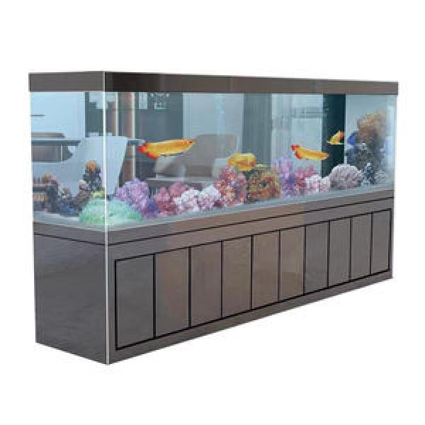 Aquarium Fish Tank
