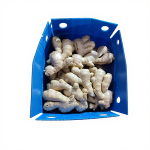 Fresh Vegetables
