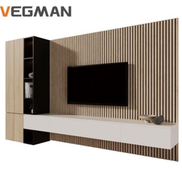 TV, Home AV Equipment & Accessories