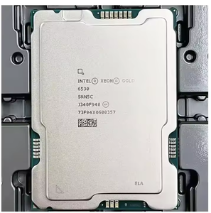 CPU Chip