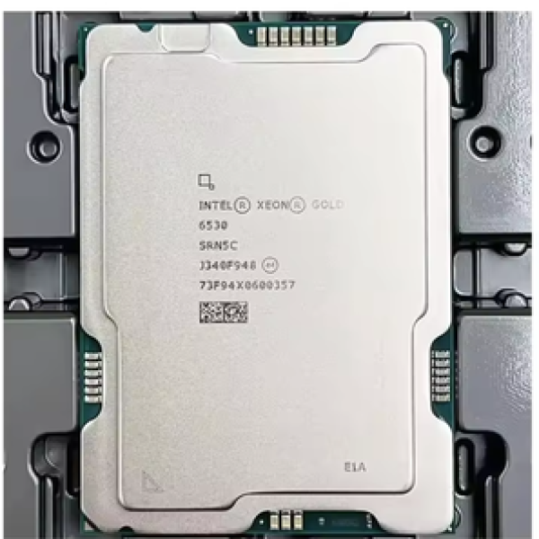 CPU Chip