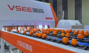 Fruit Processing Production Line