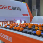 Fruit Processing Production Line