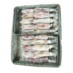 Seafood